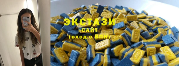 гидропоника Горняк