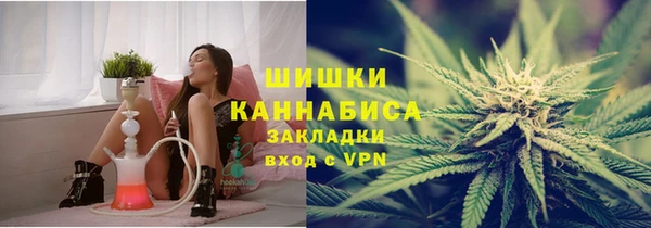 гидропоника Горняк