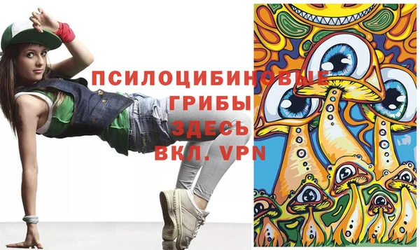 гидра Горнозаводск