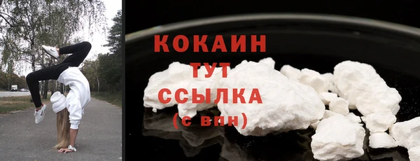 гидропоника Горняк