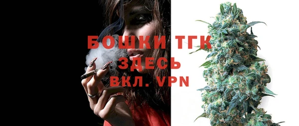 гидра Горнозаводск