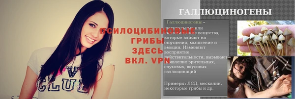 гидропоника Горняк