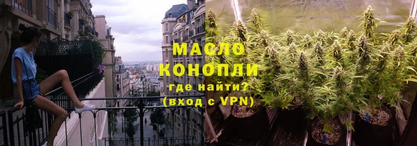 гидра Горнозаводск