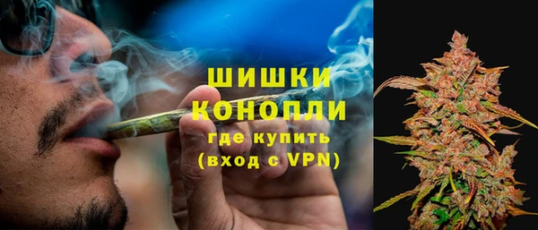 мдпв Шадринск