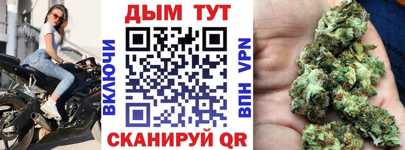 Бошки Шишки семена  Мещовск 